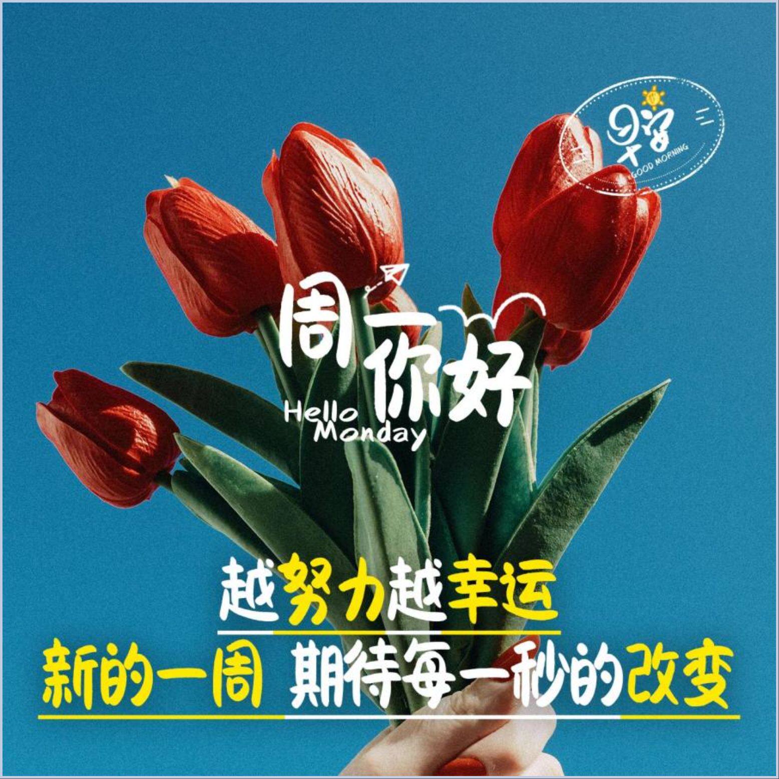 A云购正品店