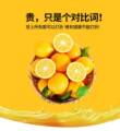 正宗赣南脐橙品牌店