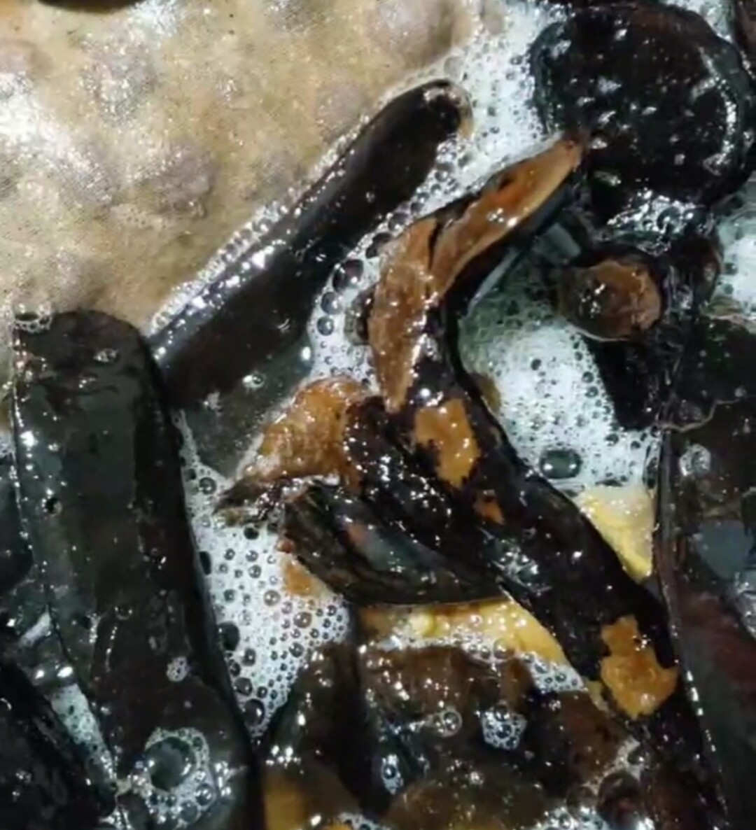 源自然 手作 代熬制 私人订制