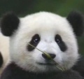 针式打印机小店