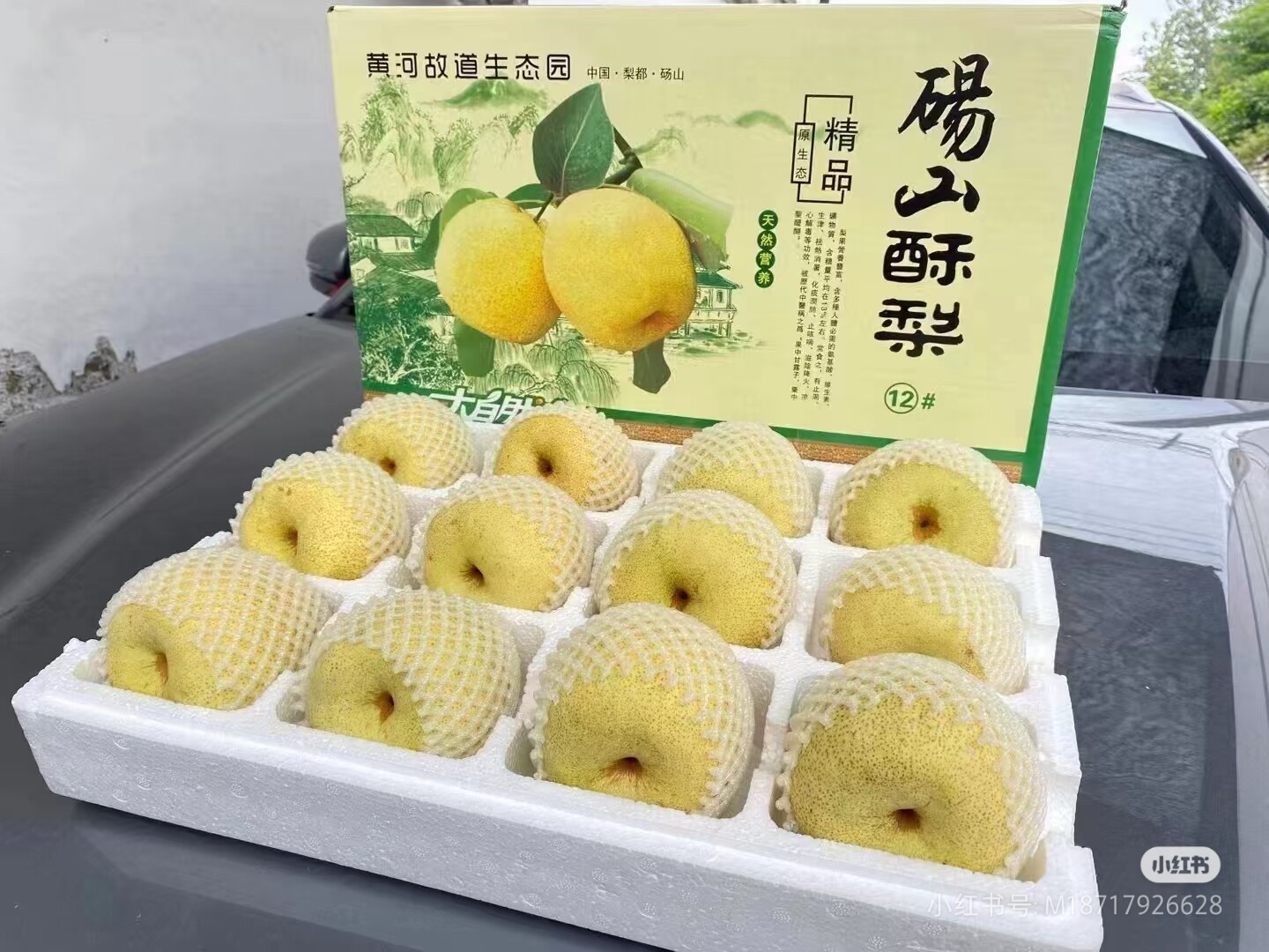砀山特产农产品