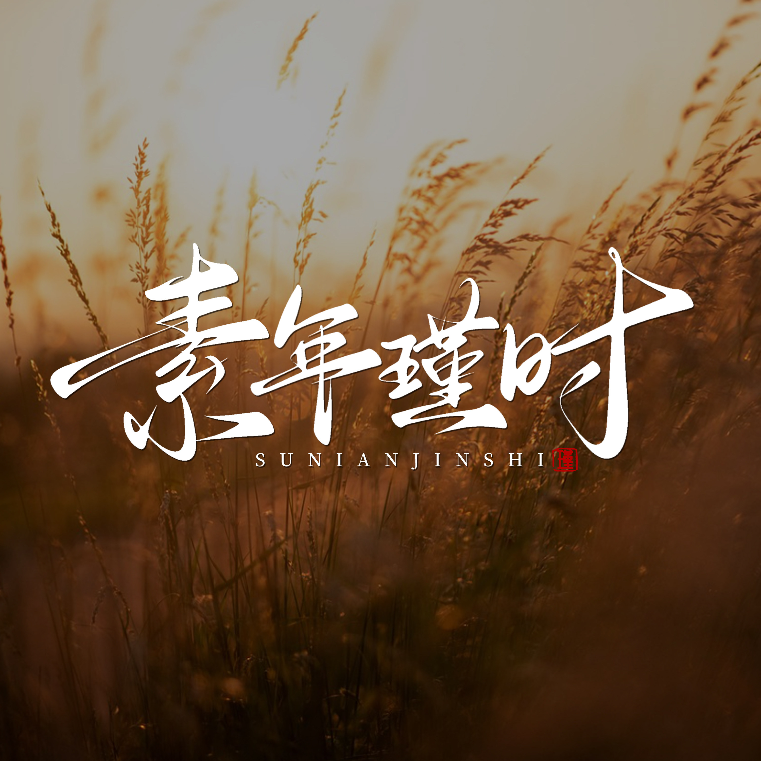 素年瑾时