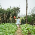 田间 乡味