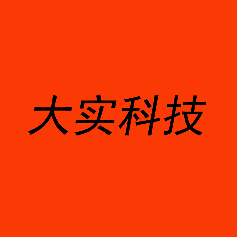 大实科技 店铺LOGO