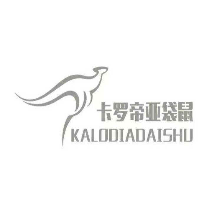 KLDY原创箱包店