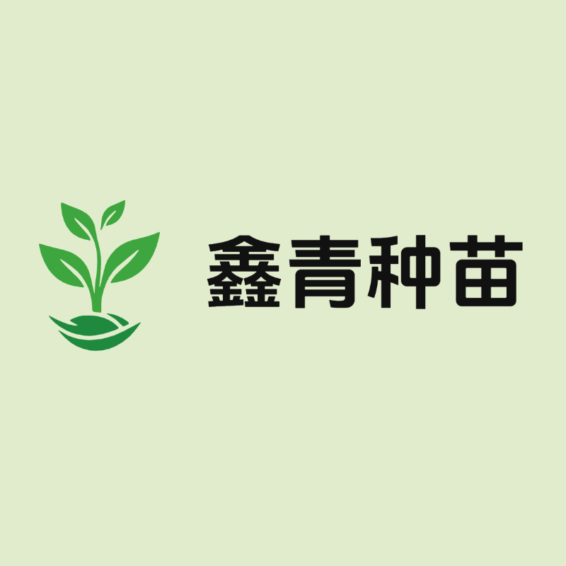 鑫青种苗