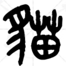 猫海鱼鱼