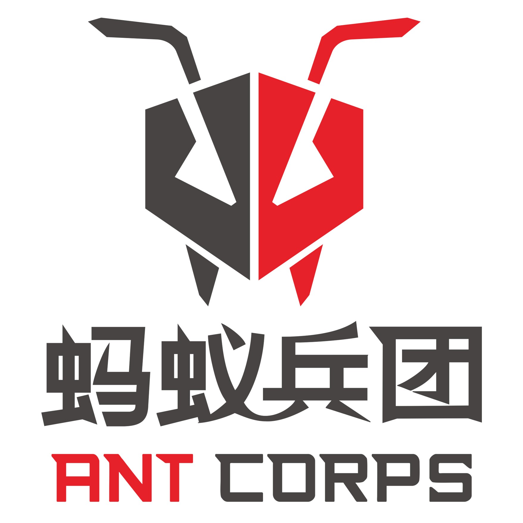 蚂蚁兵团旗舰店