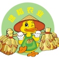台山绿稻农业
