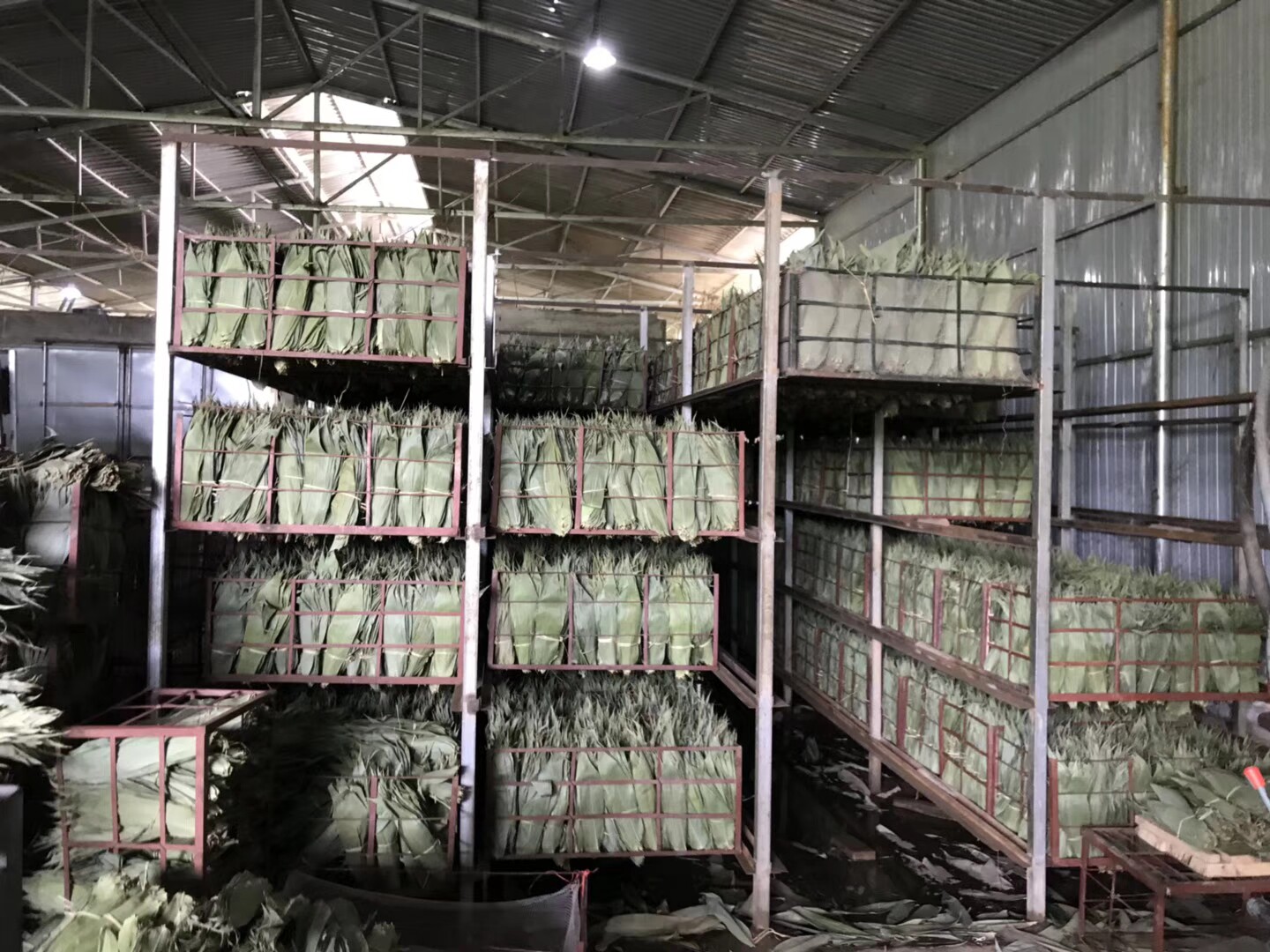北国香粽叶加工厂