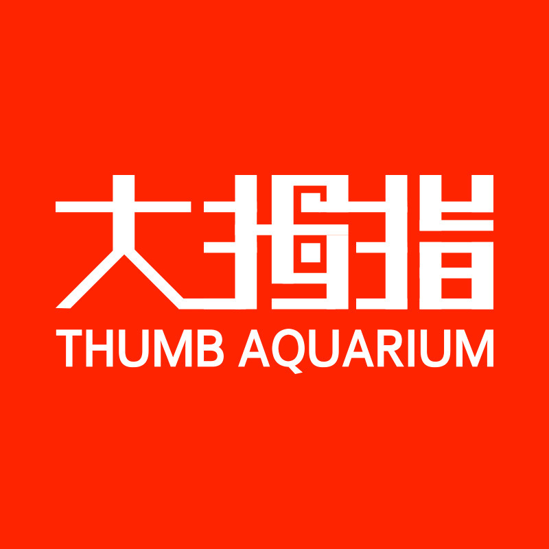 大拇指旗舰店