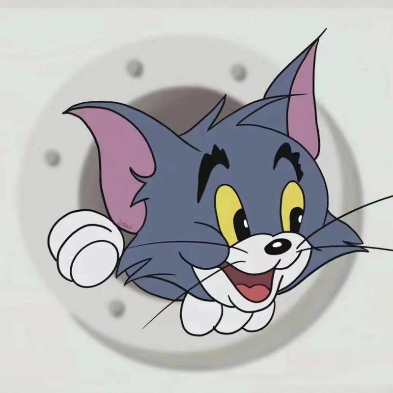 懒猫猫休闲食品