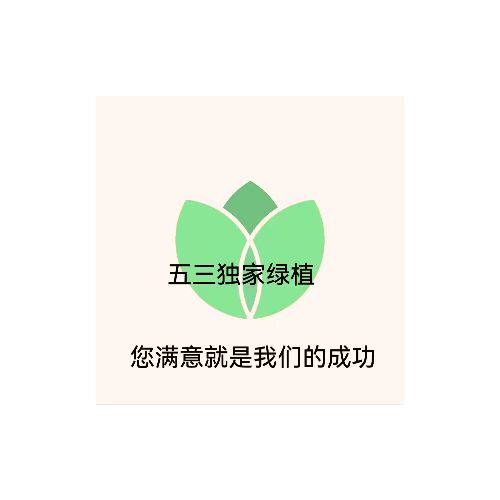 五三独家绿植