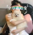 法嘉哲旗舰店