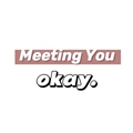 遇见你 Meeting You