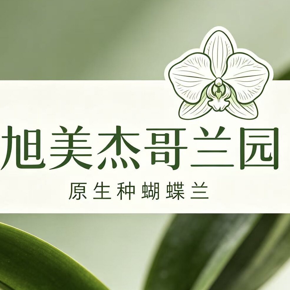 旭美兰花 店铺LOGO