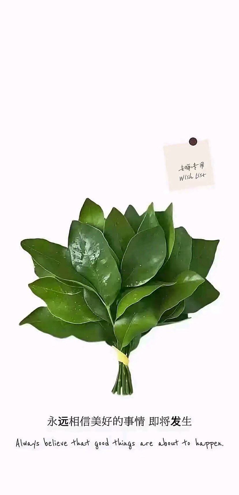 爱吃椰子软糖
