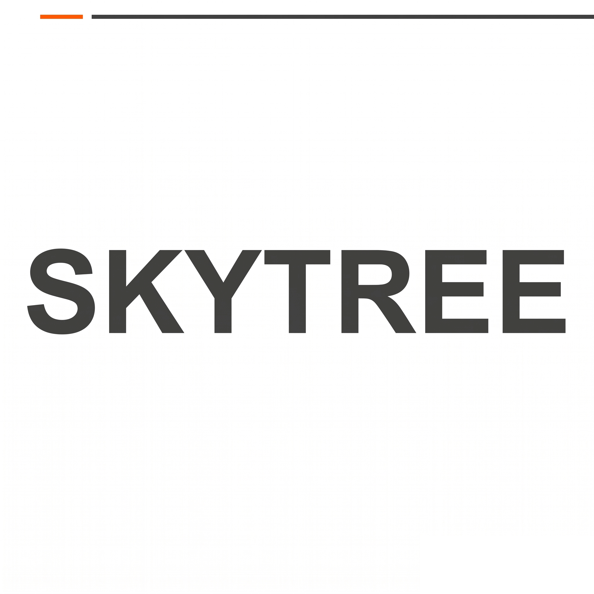 SKYTREE旗舰店 店铺LOGO