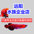 远阳水族企业店