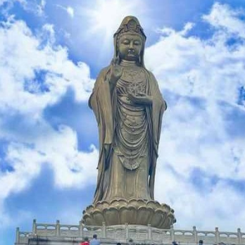 舟山市普陀山 店铺LOGO