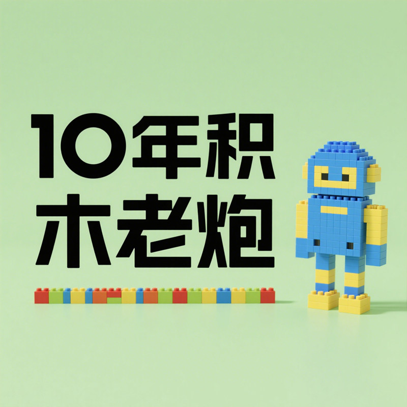 10年积木老炮