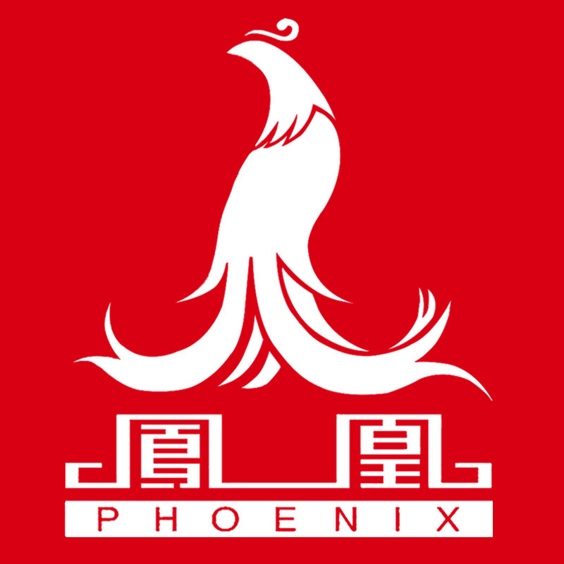 PHOENlX凤凰童车精品店