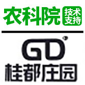 桂都旗舰店