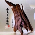 南美鱼乐水族