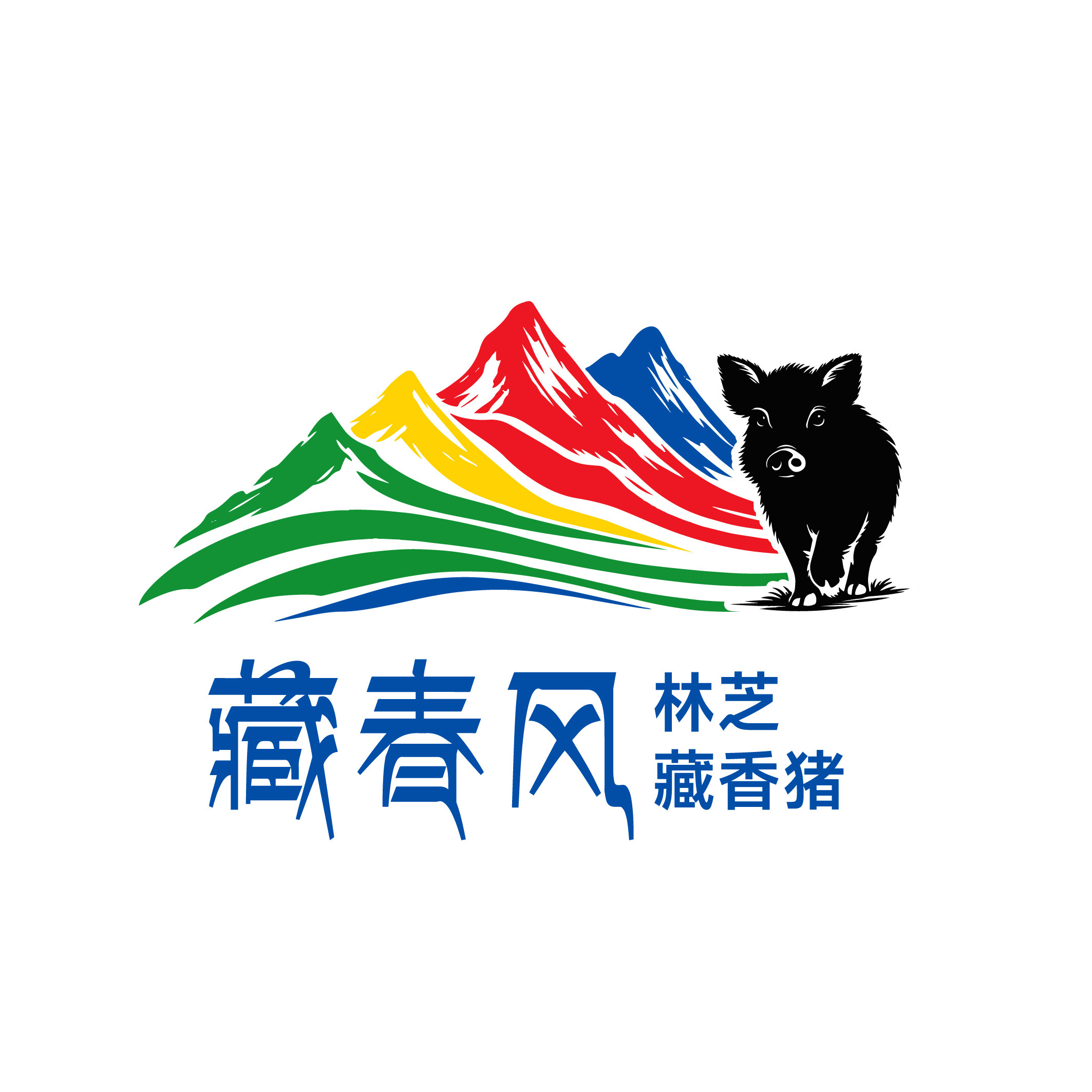 藏春风林芝藏香猪