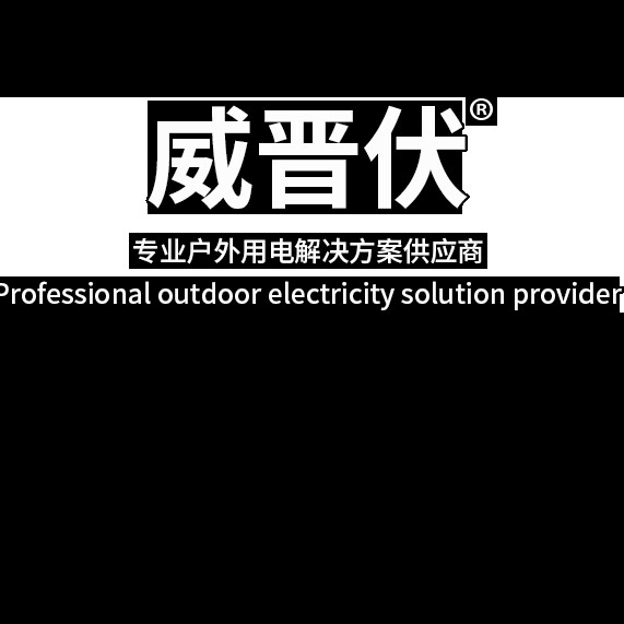 威晋伏逆变器直销店
