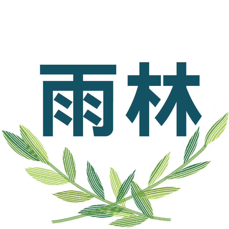 雨林实木家具