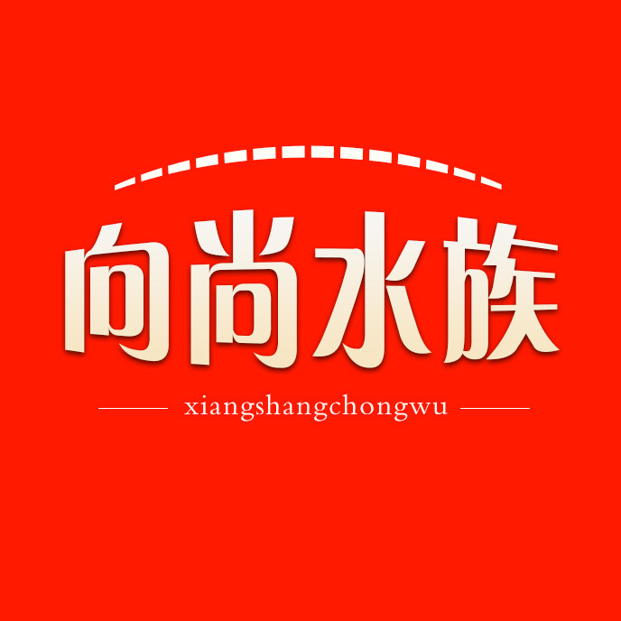 向尚水族馆