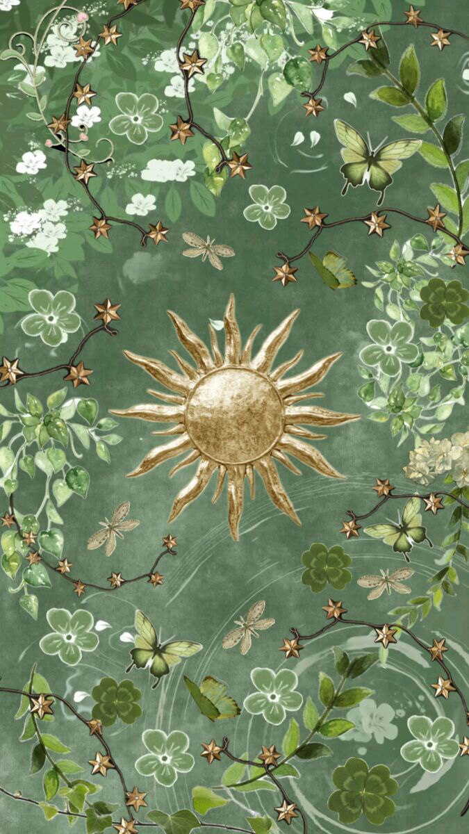 芭芭拉趣壳 拍三付二
