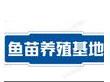 湖北鱼苗养殖合作社