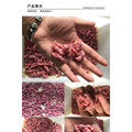 深牧活体养殖