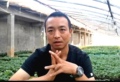手艺人飞羽