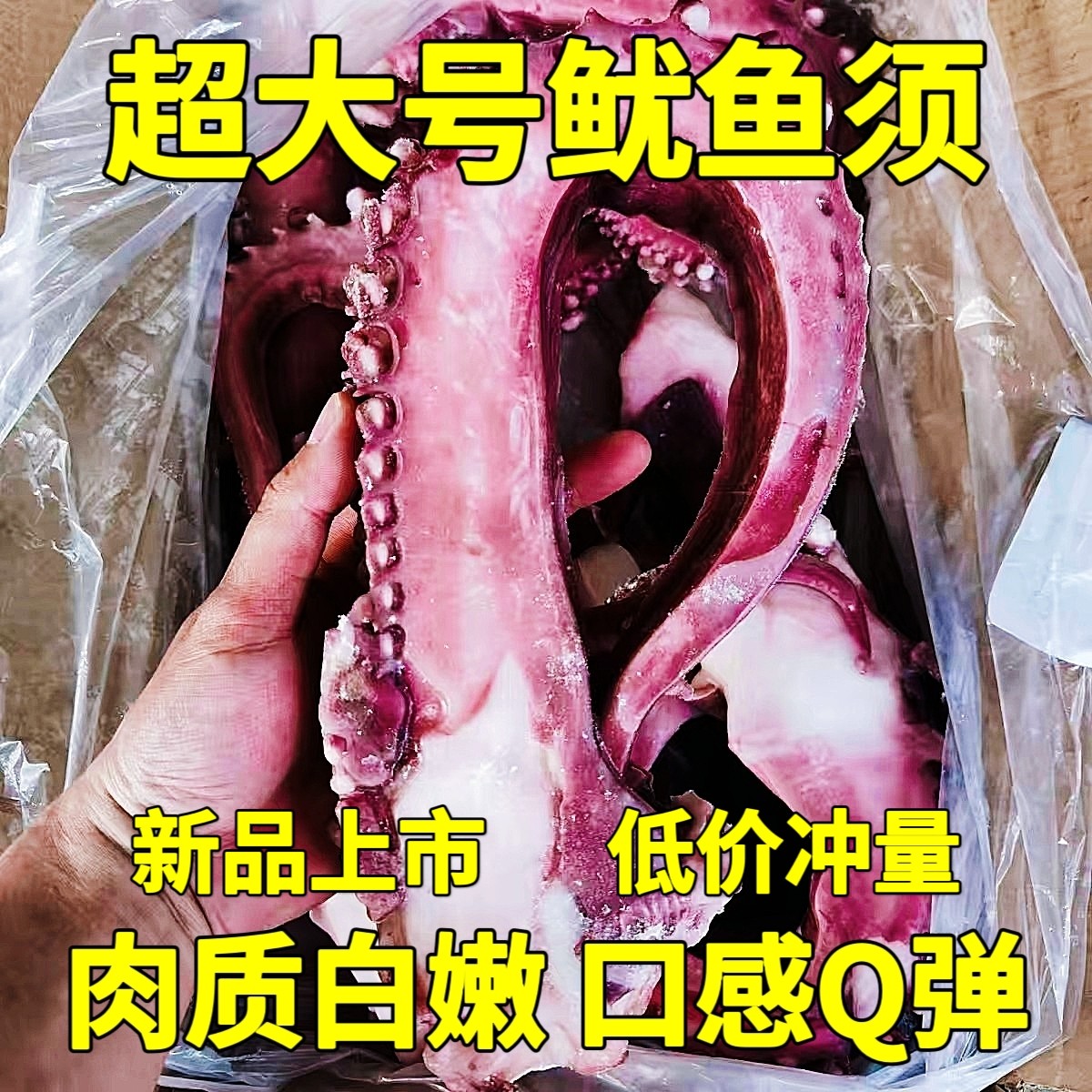 领鲜海捕水产