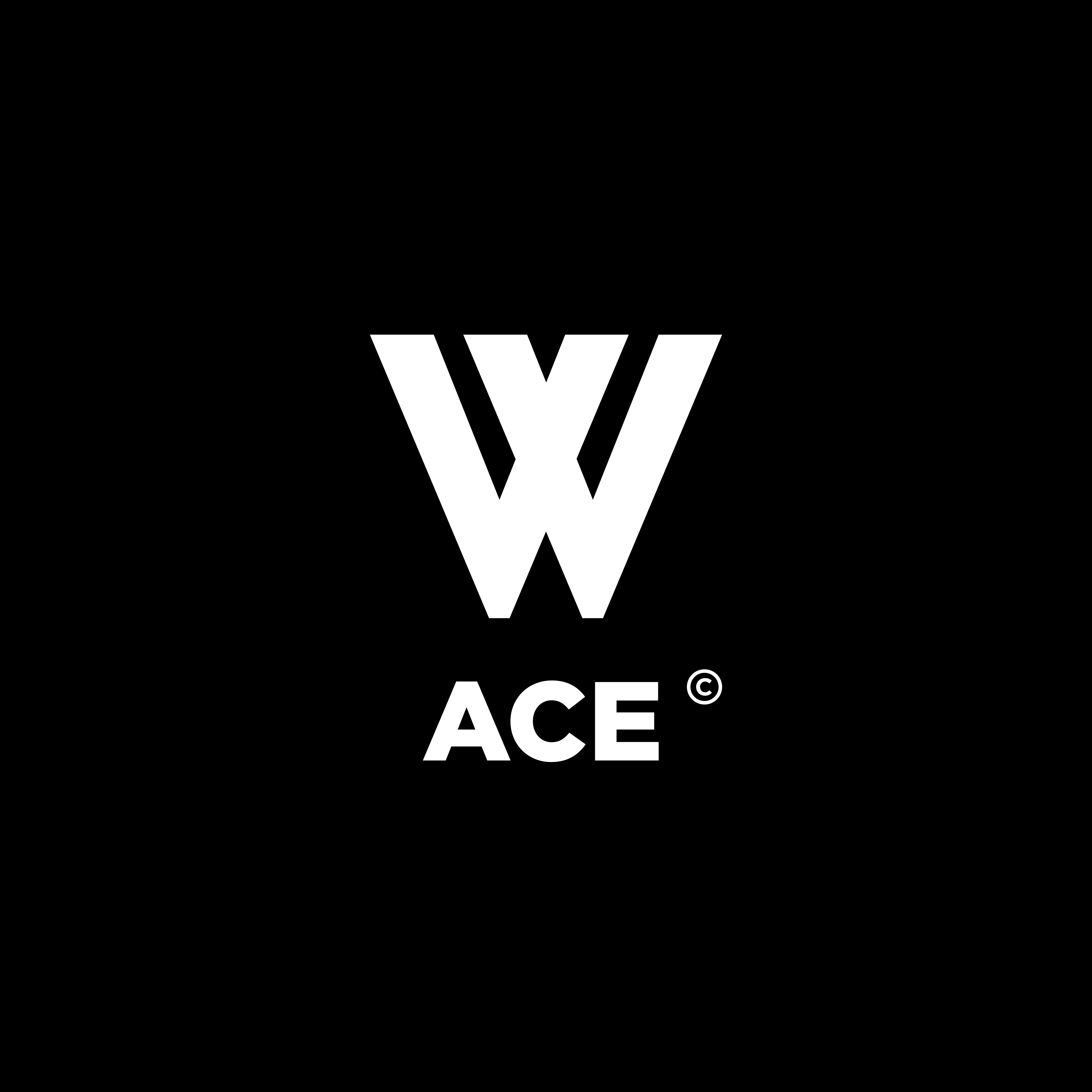 WACE网球