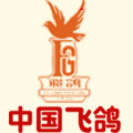 飞鸽自行车网销壹号店 店铺LOGO