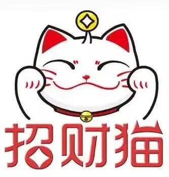 心向星光