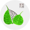 华膜水处理设备耗材批发店