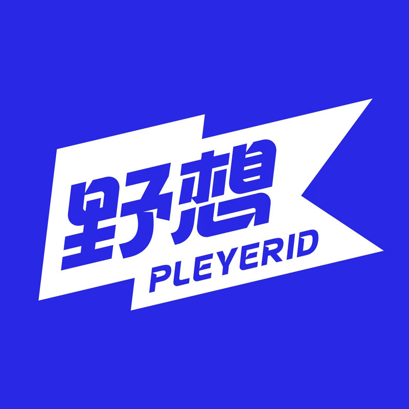 野想旗舰店