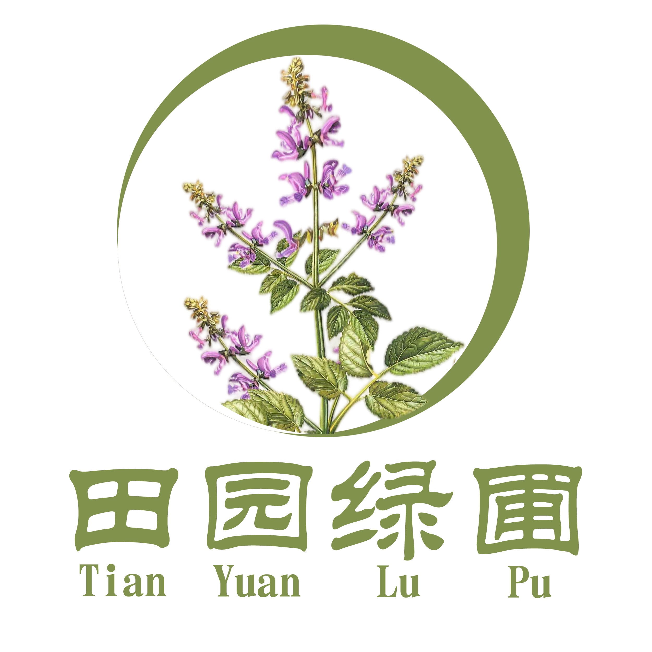 田园绿圃滋补养生店