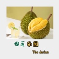 Some Durian 店铺LOGO