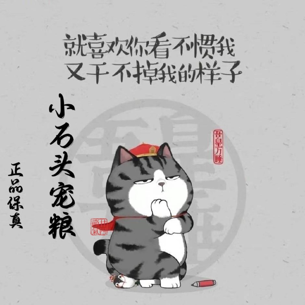 小石头宠粮