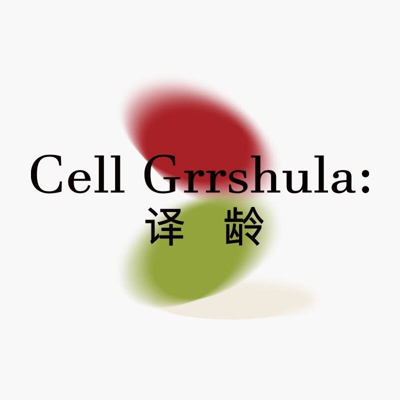 译龄旗舰店