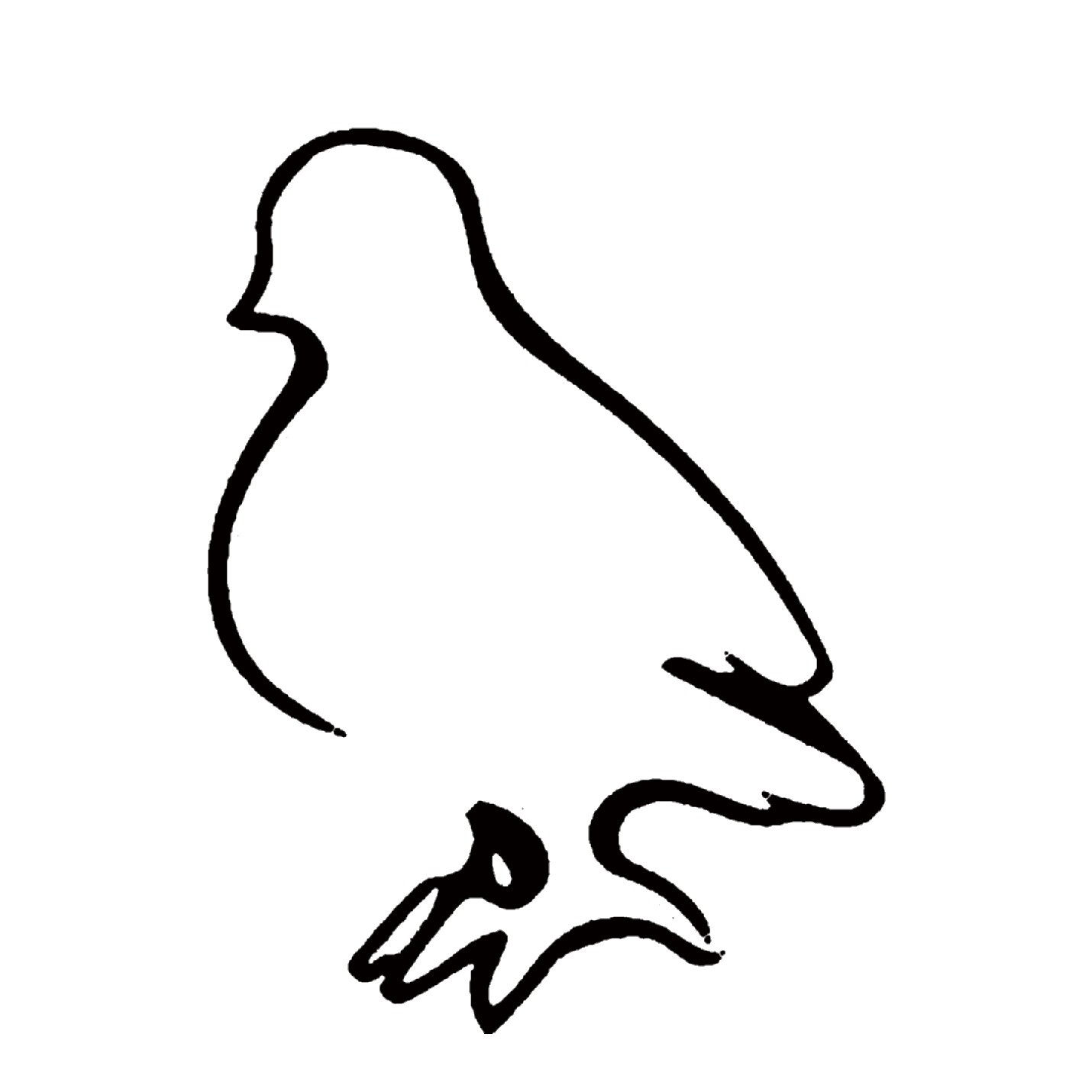 鸽游网络