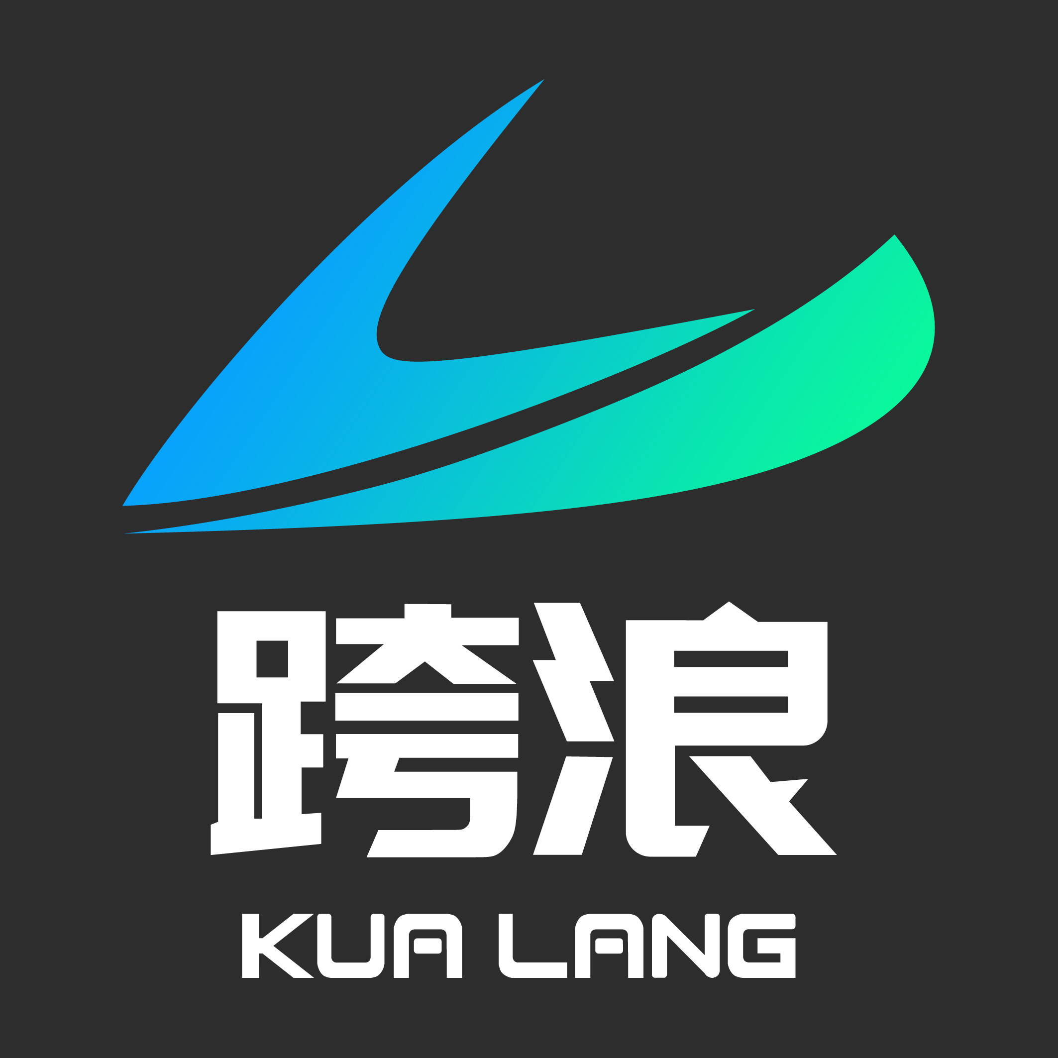 跨浪USBORN电动滑板官方店
