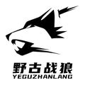 锂电池动力科技