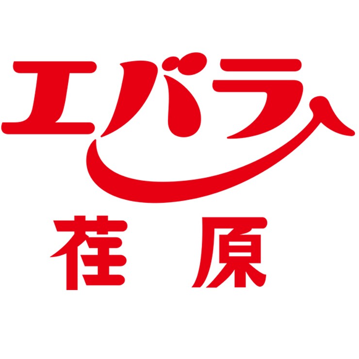 荏原旗舰店 店铺LOGO